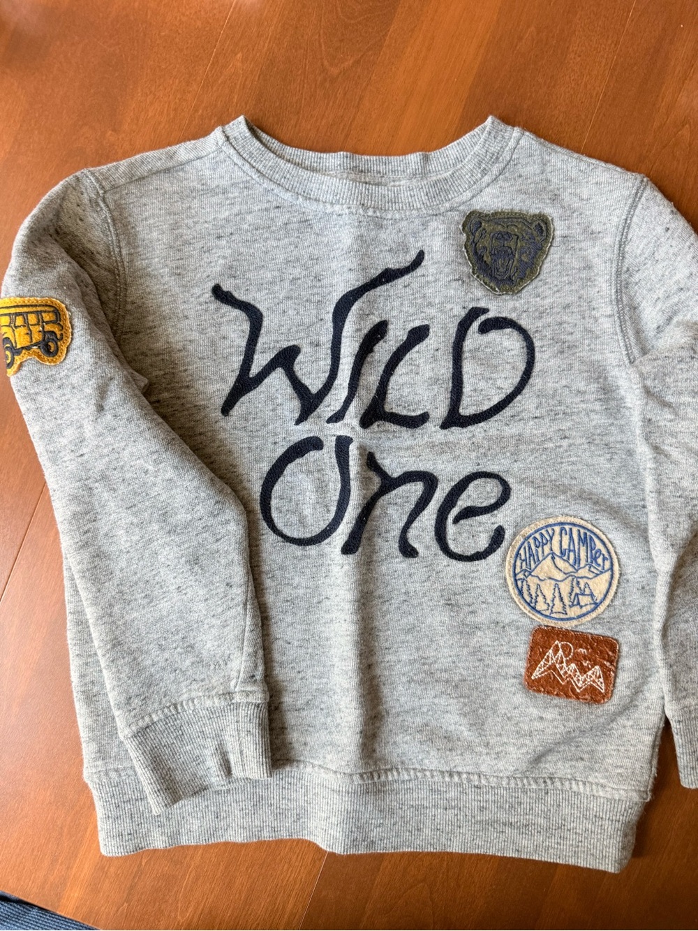 Gymboree Wild One Grey Kids Sweatshirt with Patches